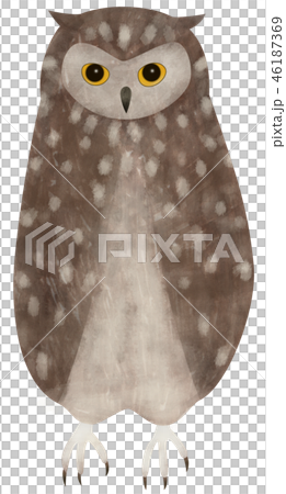 手描き どうぶつ 鳥 ミミズク フクロウ 46187369