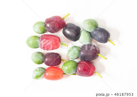 イヌマキ　果実 46187953