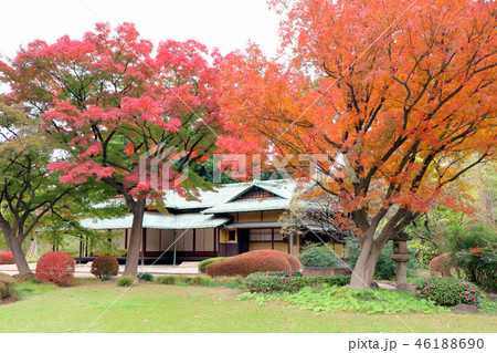 皇居東御苑、諏訪の茶屋と二の丸庭園の紅葉(12月)東京都千代田区 皇居東御苑、諏訪の茶屋と二の丸庭園の紅葉(12月)東京都千代田区 46188690