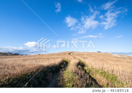 四国カルストの風景 四国カルストの風景 46189518