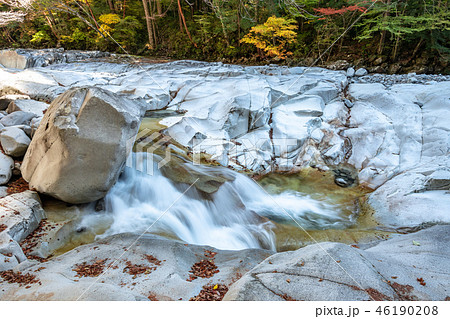 秋の面河渓 46190208