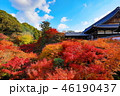 東福寺｜Tofuku-ji 46190437