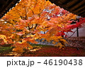 東福寺｜Tofuku-ji 46190438