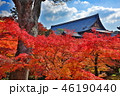 東福寺｜Tofuku-ji 46190440