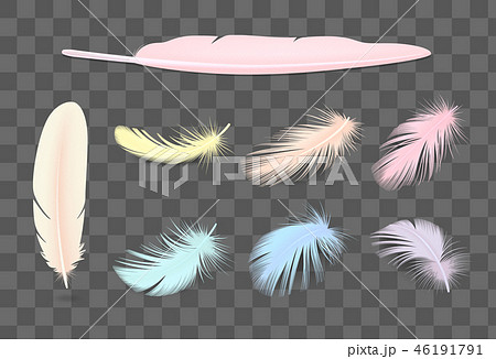 Colored Transparent Feathers Setのイラスト素材