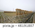 稲架｜Hazakake 46191807