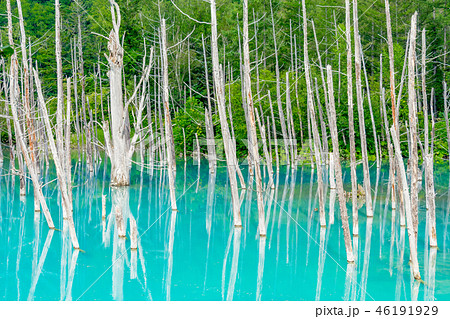 【北海道】青い池 46191929