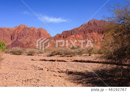 Bolivian canyon near Tupiza,Bolivia 46192767
