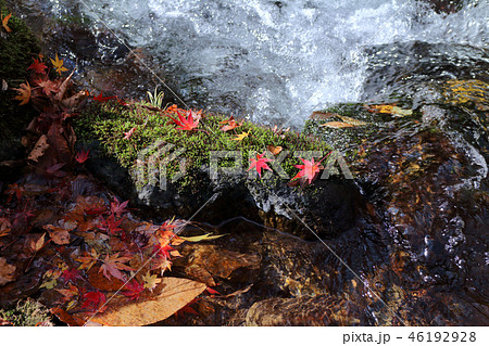 ロマンチック茨城（渓谷の清流はどこまでも清く、心までも洗い清める。）北茨城市、花園渓谷 46192928