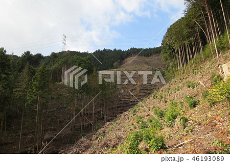 日の出山 46193089