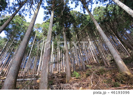 日の出山 日の出山 46193096