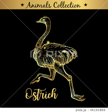 Golden and royal Hand Drawn Emblem of farm Ostrich Bird animal. Butchery shop branding, meat 46193869