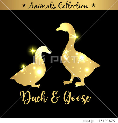 Isolated vintage golden and royal emblem of farm Goose and Duck animals. Fresh and tasty meat. Isolated vintage golden and royal emblem of farm Goose and Duck animals. Fresh and tasty meat. 46193875