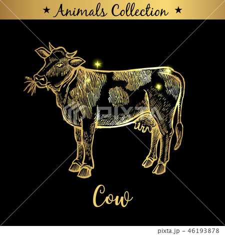 Golden and royal Hand Drawn Emblem of farm Cow animal. Butchery shop branding, meat products 46193878