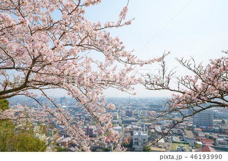 満開の桜と千葉県の街並み (千葉県東金市山王台公園から) 2018年3月撮影 満開の桜と千葉県の街並み (千葉県東金市山王台公園から) 2018年3月撮影 46193990
