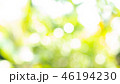 Green bokeh defocus art abstract blur background 46194230