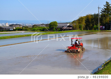 田植機で田植え 田植機で田植え 46194600