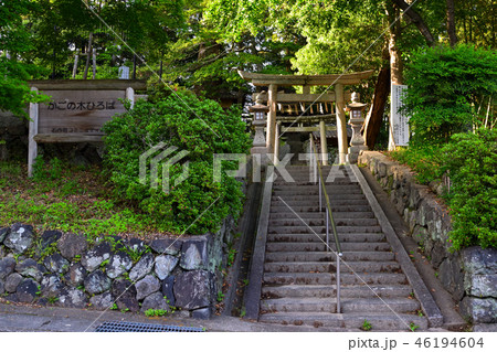 京都大原野八幡宮社 46194604