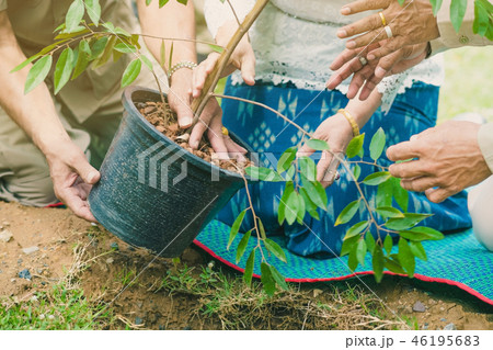The provincial governor and his wife plant a tree  46195683