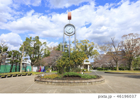 春の東綾瀬公園　サービスセンターそばの時計 46196037