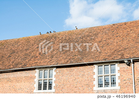 イギリス郊外の赤煉瓦でできた建物の屋根でくつろぐ鳩たちの写真素材