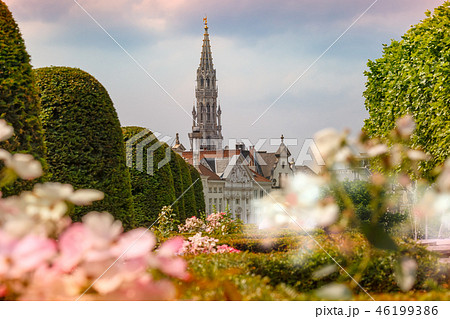 Brussels City Hall in Brussels, Belgium 46199386