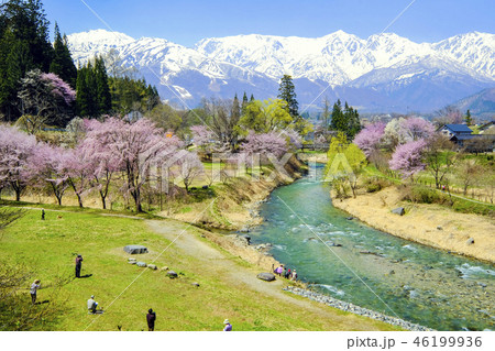 桜咲く大出公園2018-4 桜咲く大出公園2018-4 46199936