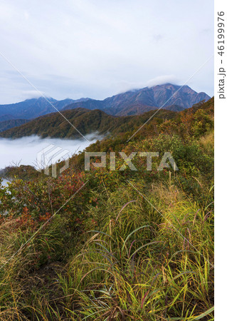 枝折峠から望む紅葉と越後駒ケ岳 46199976