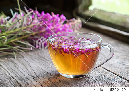 Fireweed healthy herbal tea and medicinal herbs. 46200199