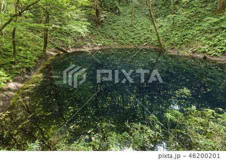 白神山地の十二湖 沸壺の池の写真素材 4601 白神山地の十二湖 沸壺の池の写真素材 4601