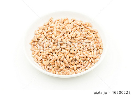 スペルト小麦(ファッロ): Spelt (Farro) スペルト小麦(ファッロ): Spelt (Farro) 46200222