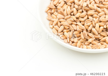 スペルト小麦(ファッロ): Spelt (Farro) スペルト小麦(ファッロ): Spelt (Farro) 46200223