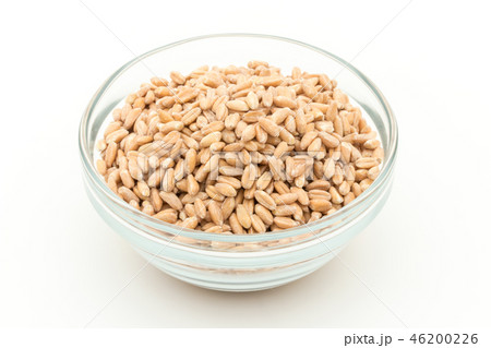 スペルト小麦(ファッロ): Spelt (Farro) スペルト小麦(ファッロ): Spelt (Farro) 46200226