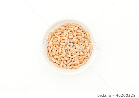 スペルト小麦(ファッロ): Spelt (Farro) スペルト小麦(ファッロ): Spelt (Farro) 46200228