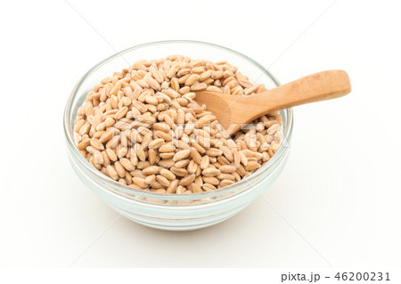 スペルト小麦(ファッロ): Spelt (Farro) スペルト小麦(ファッロ): Spelt (Farro) 46200231