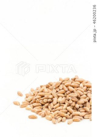 スペルト小麦（ファッロ）: Spelt (Farro) 46200236