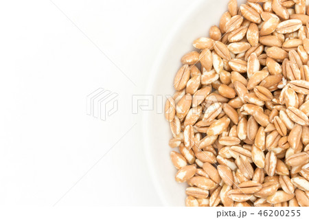 有機栽培のスペルト小麦(ファッロ): Organic Spelt (Farro) 有機栽培のスペルト小麦(ファッロ): Organic Spelt (Farro) 46200255