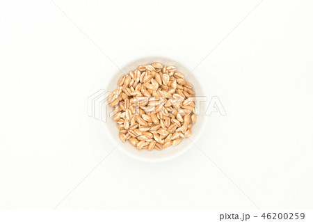 有機栽培のスペルト小麦(ファッロ): Organic Spelt (Farro) 有機栽培のスペルト小麦(ファッロ): Organic Spelt (Farro) 46200259