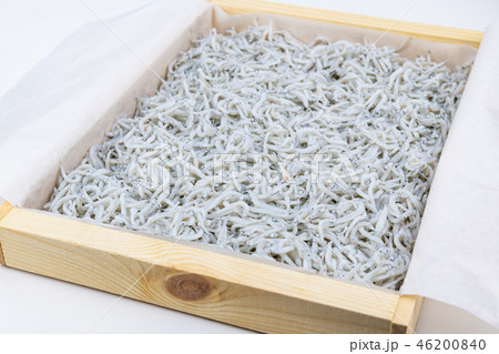 しらす　釜揚げシラス 46200840