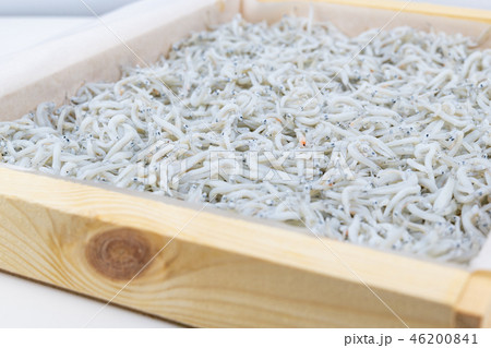 しらす　釜揚げシラス 46200841