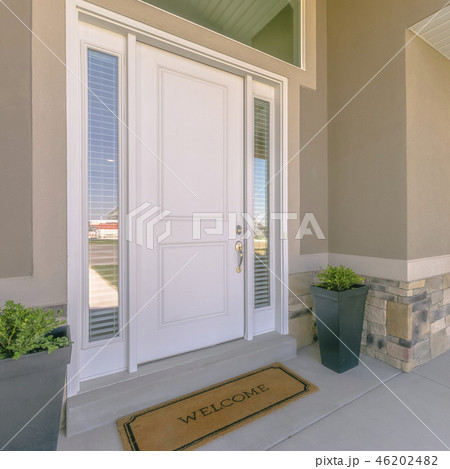 Front door with glass panels and potted plants Front door with glass panels and potted plants 46202482