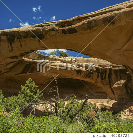 Arches National Park with a view of Uranium Arch Arches National Park with a view of Uranium Arch 46202722