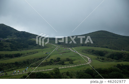 陽明山 風景一望 陽明山 風景一望 46202977