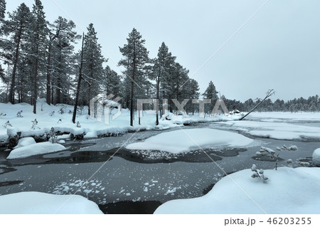 Winter Snowy Landscape 46203255