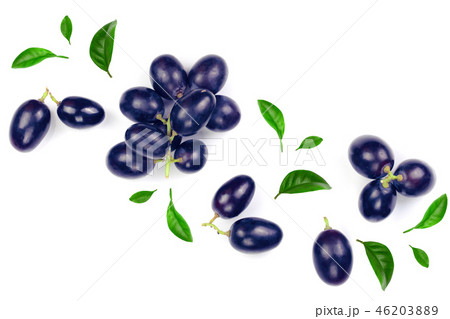 bue grapes isolated on the white background with copy space for your text. Top view. Flat lay bue grapes isolated on the white background with copy space for your text. Top view. Flat lay 46203889