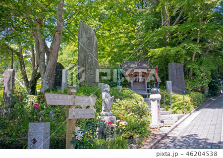 高尾山 高尾山薬王院 表参道 登山道一号路 登山口付近の風景 高尾山 高尾山薬王院 表参道 登山道一号路 登山口付近の風景 46204538