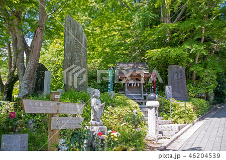 高尾山 高尾山薬王院 表参道 登山道一号路 登山口付近の風景 高尾山 高尾山薬王院 表参道 登山道一号路 登山口付近の風景 46204539