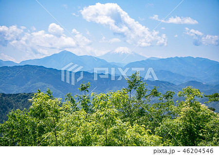高尾山　山頂　 大見晴台から眺望する富士山　5月中旬 46204546