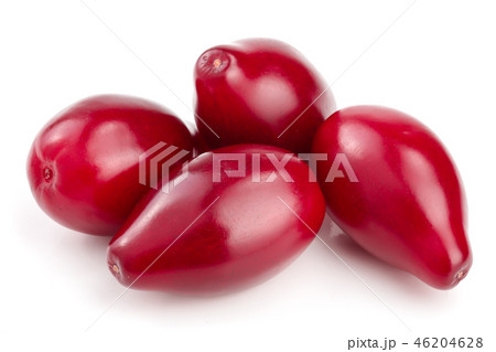 Red berries of cornel or dogwood isolated on white background Red berries of cornel or dogwood isolated on white background 46204628