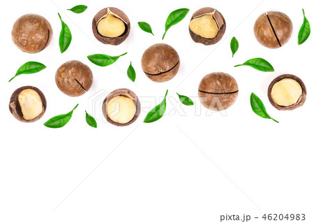 Shelled and unshelled macadamia nuts with leaves isolated on white background with copy space for 46204983